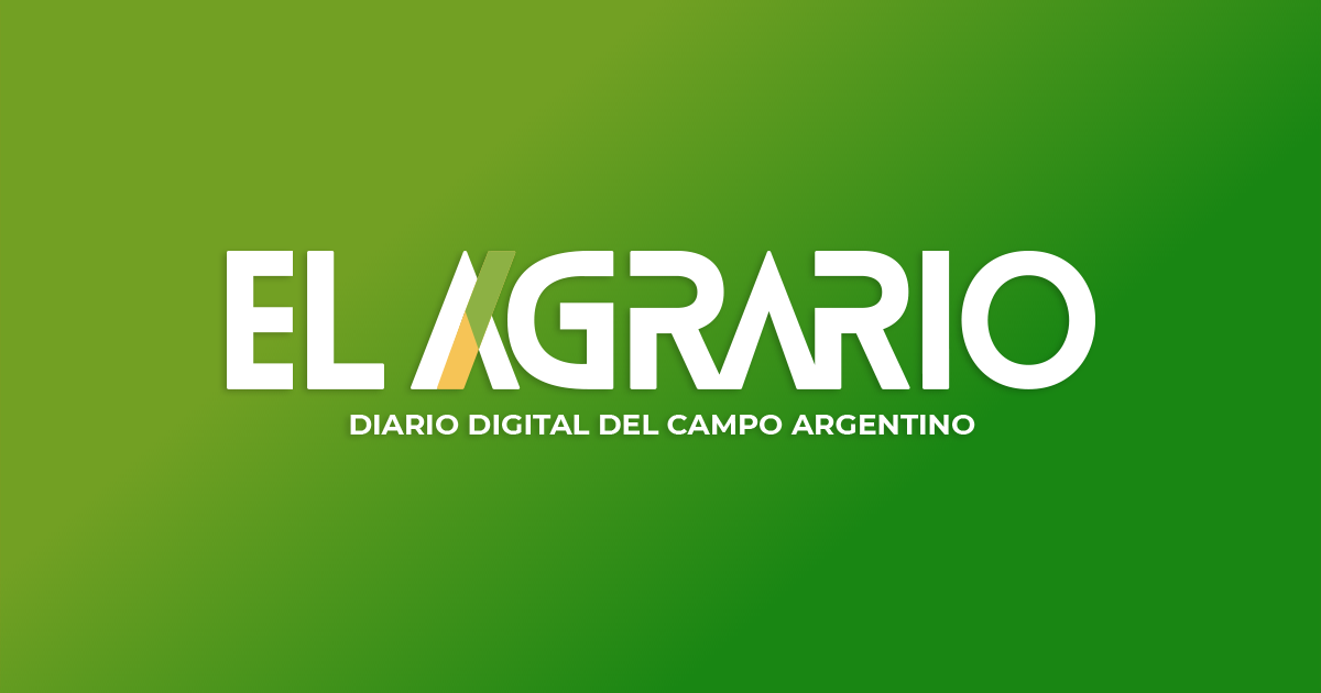 (c) Elagrario.com